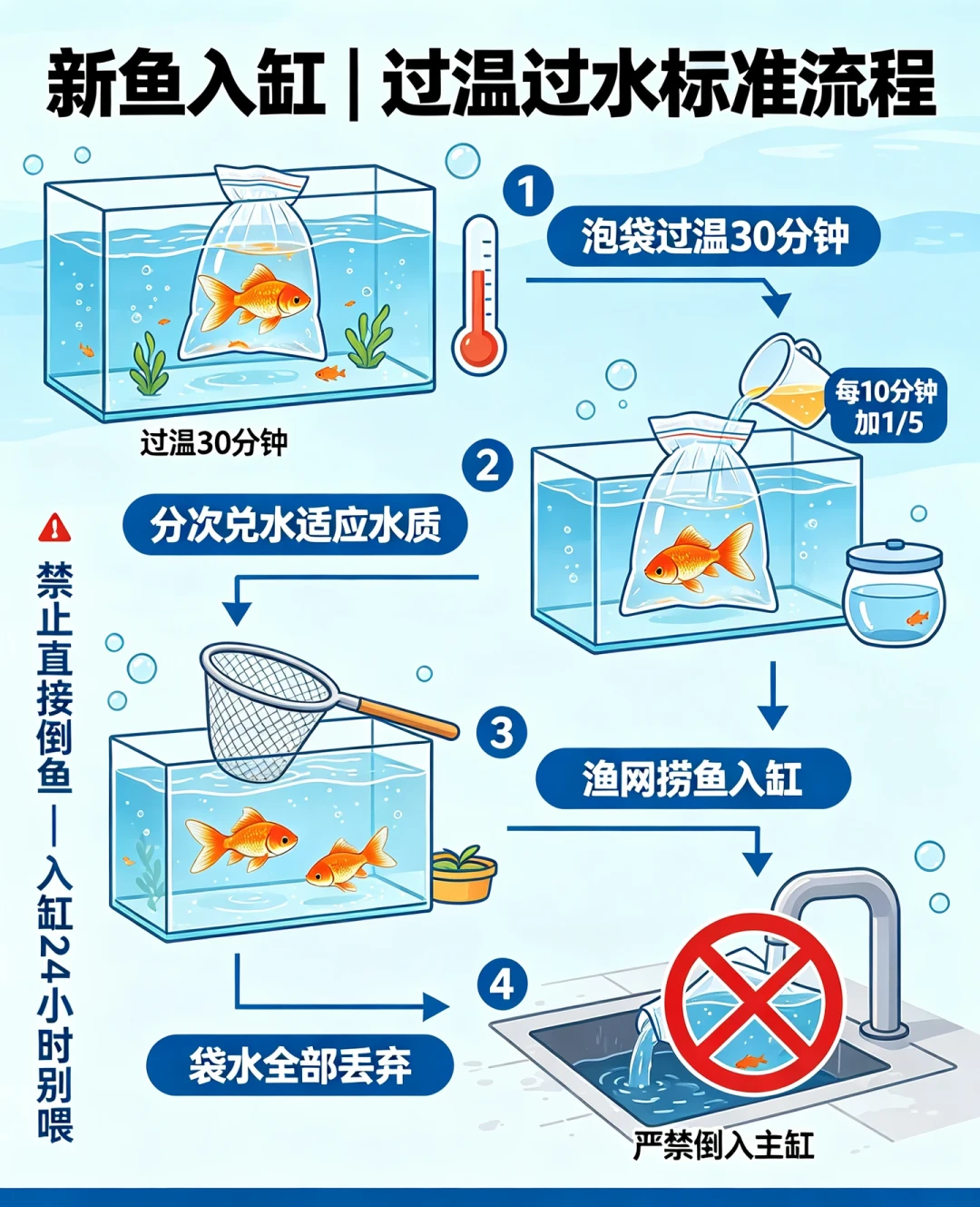 鱼到家时还活着,过完水却开始一条条死:翻完全网夏季网购鱼记录,这份伏天“下单时间表”和避坑流程请收好