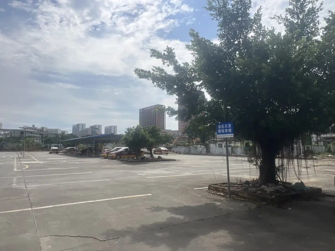 新领证人数10年少了43%,八成驾校盈利难:驾照还值得考吗?交钱前先问自己3个问题