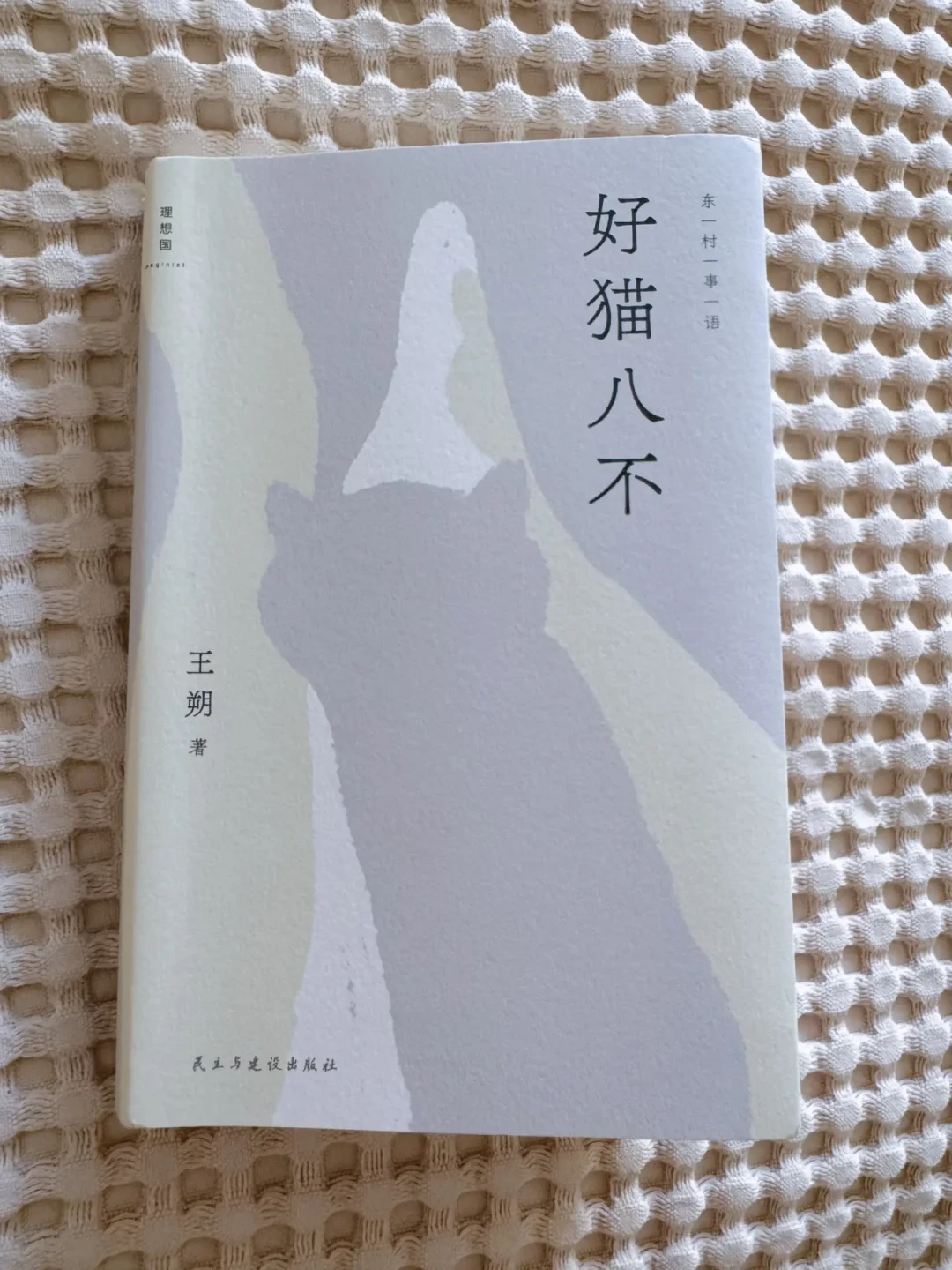 王朔快68岁了,想补课不知道从哪本开始?先看看这份全网读者实测出来的顺序