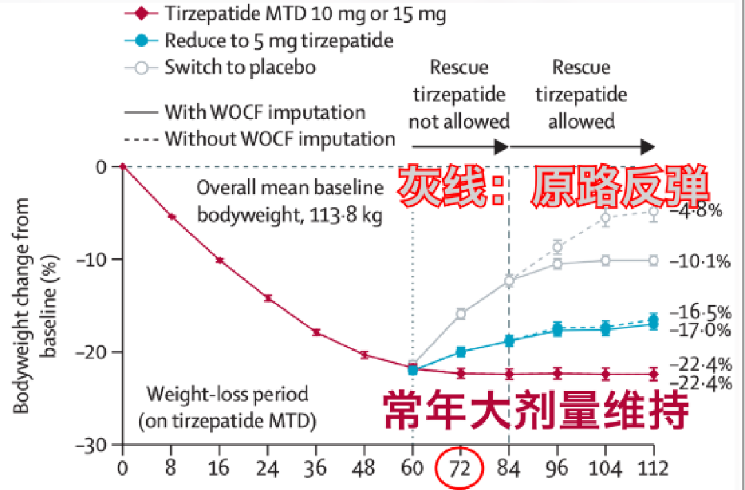 停减肥针后超8成人反弹?翻完今年临床数据和几百条真实案例:决定你能不能守住的不是自律