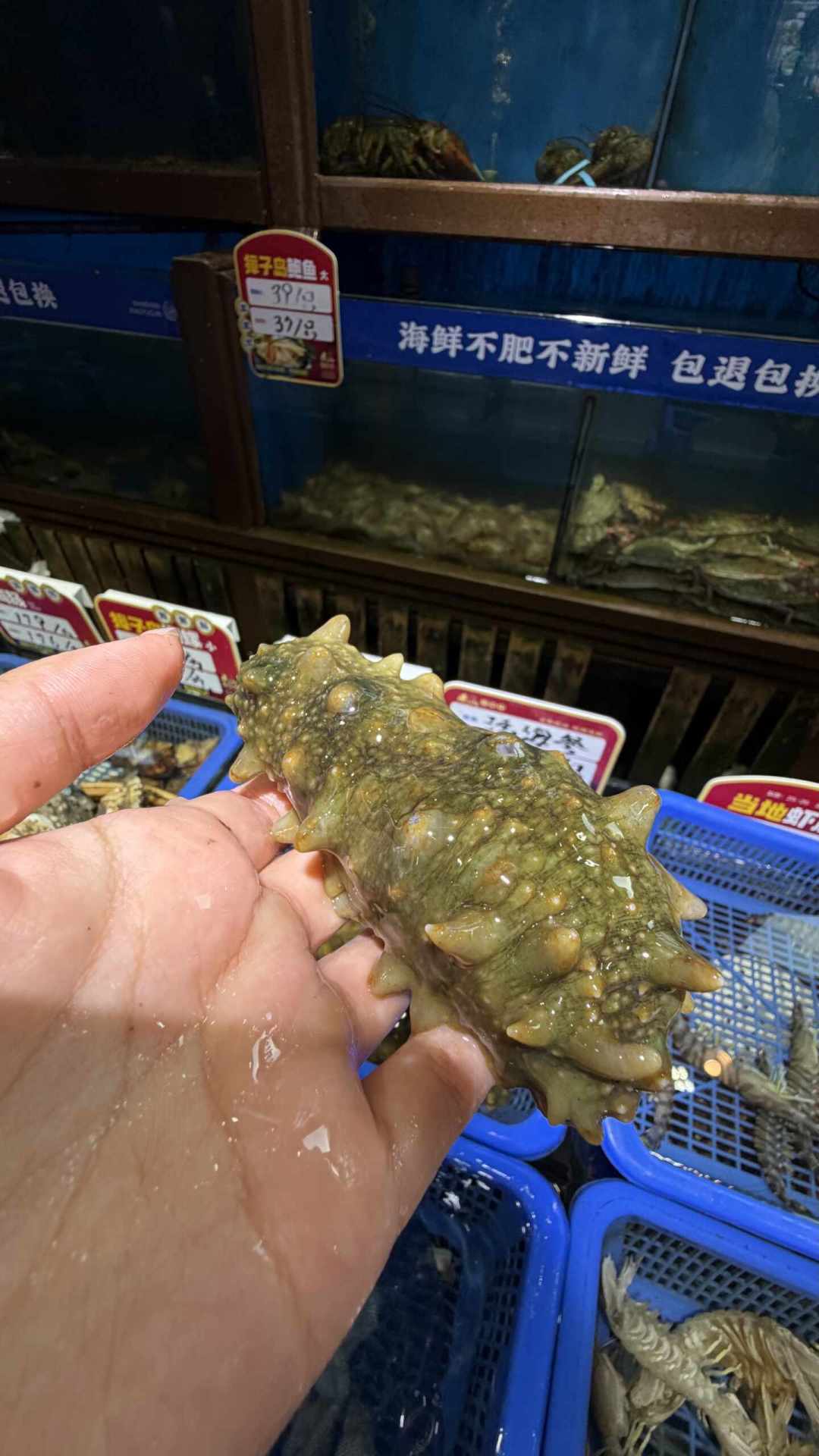 1805条评论吵翻的《大连:鬼都不去》:高温、人潮加休渔期,8月去大连这笔账替你算好了