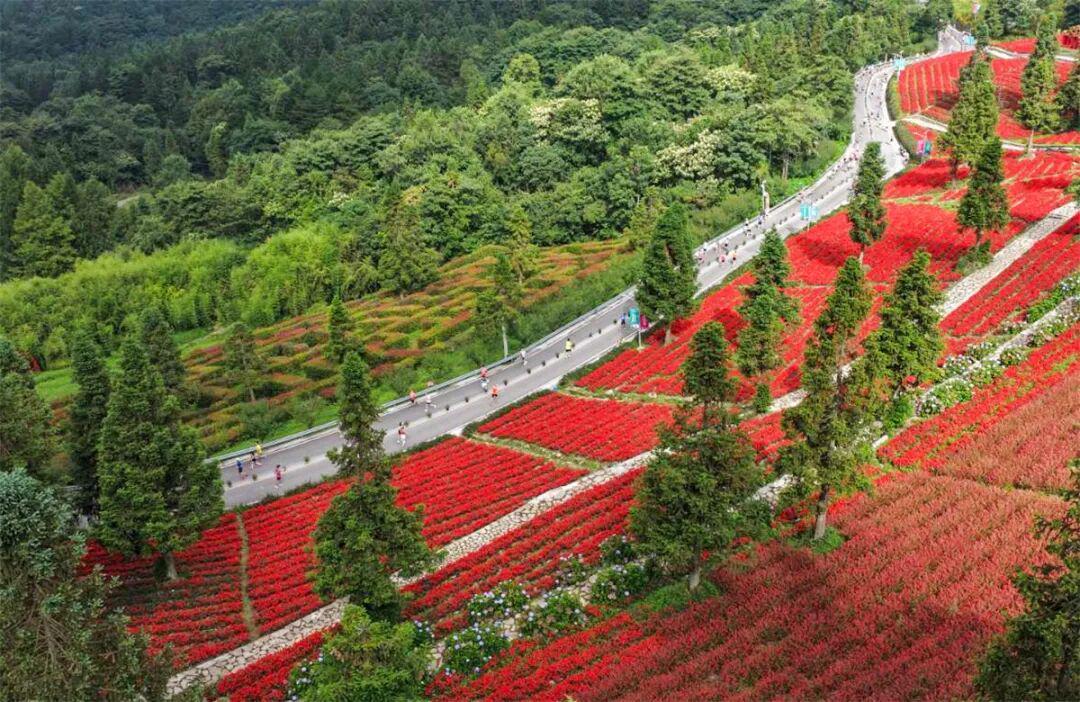 38万人抢6%的上马名额，没中签的跑者还有三条捡漏路