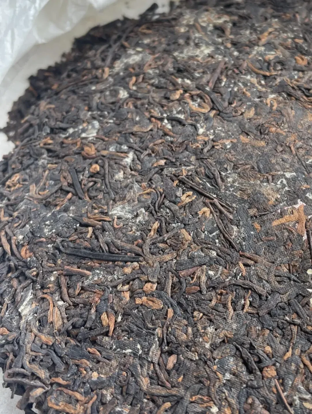 沙德尔登陆,两个月里第三个台风砸向玉环:家庭存茶紧急防潮+受潮补救指南