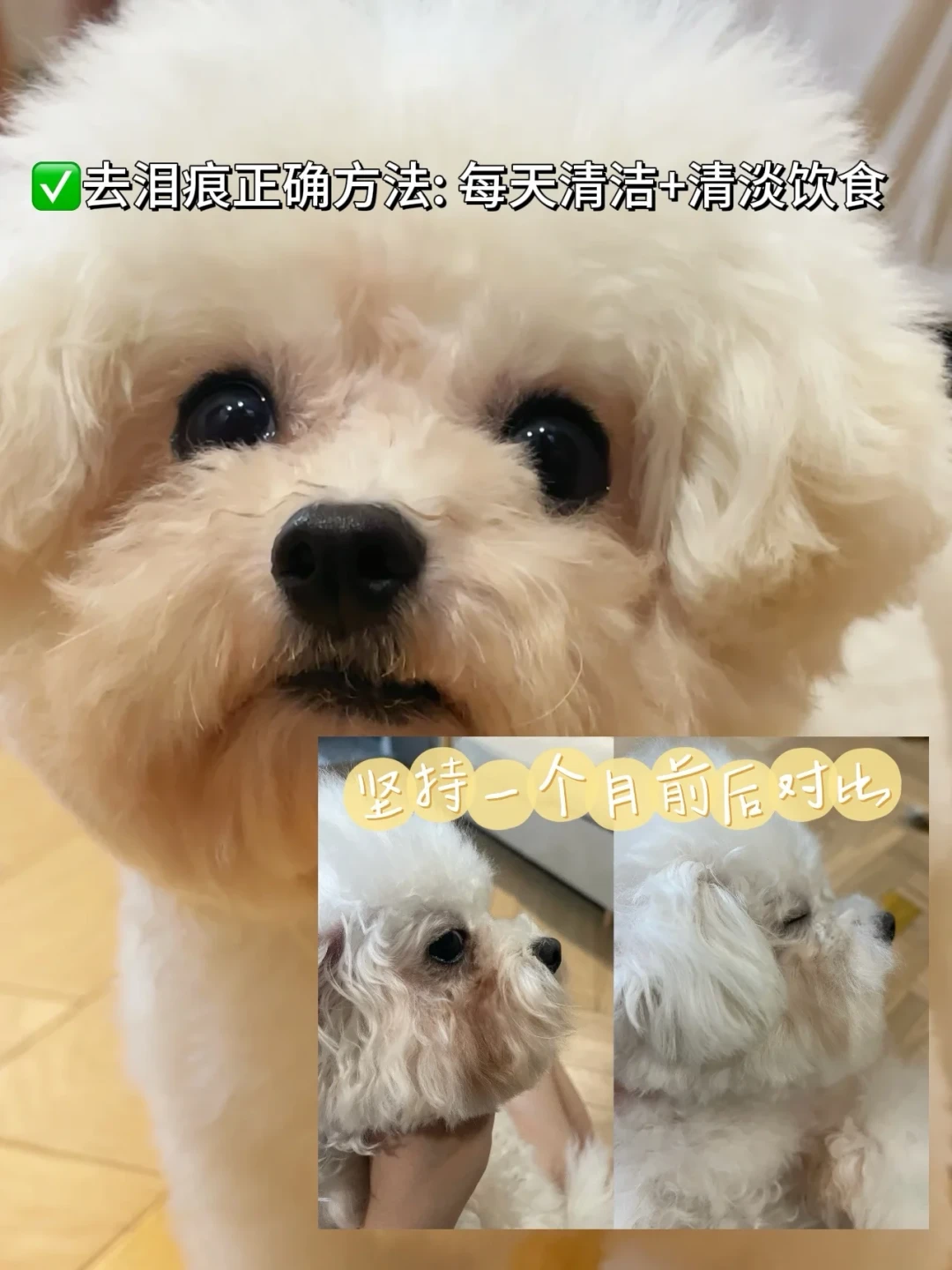 同一瓶去泪痕液,有人夸神有人说智商税:我翻了数十万赞的真实经验帖,发现第一步是分清型,不是买东西