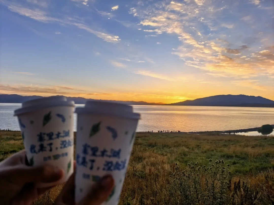 从37元手搓风扇到6000块驻车空调：夏天车中泊降温的5档方案，钱该花哪一档？