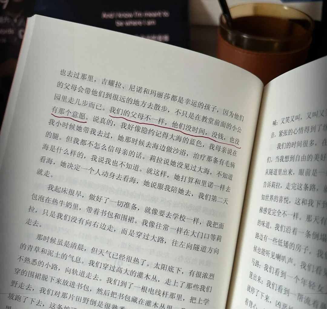 看完剧版,要不要买那不勒斯四部曲?《我的天才女友》补原著成本账,三类人三条路线