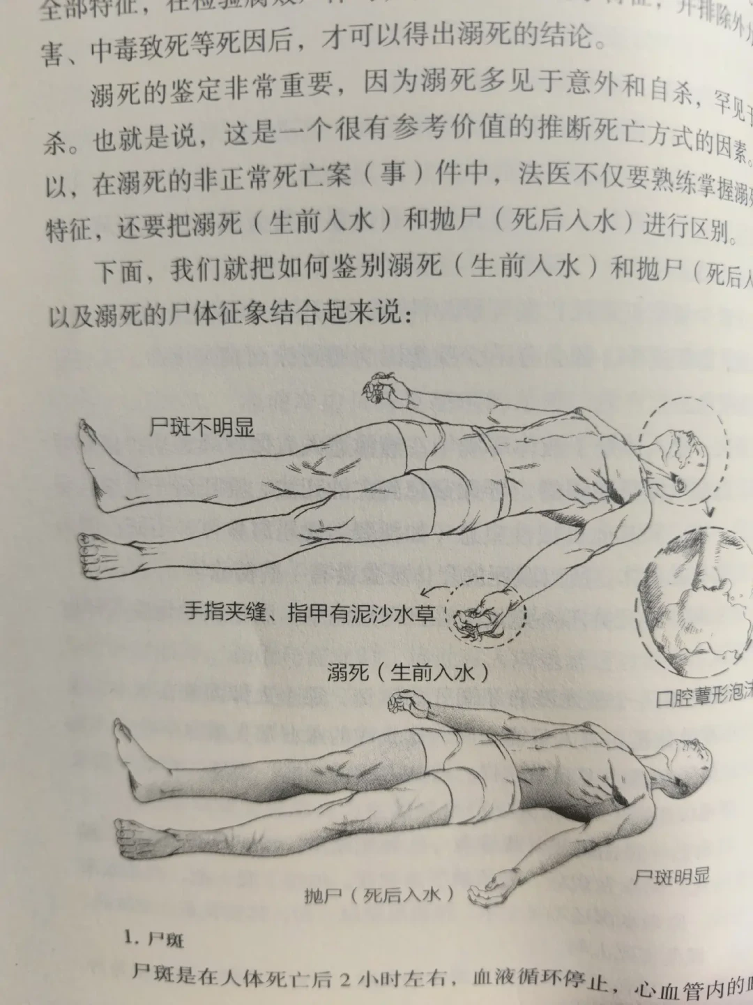 溺水全程无声：法医秦明新书《死因解剖室》纠正的3个暑期救命误区
