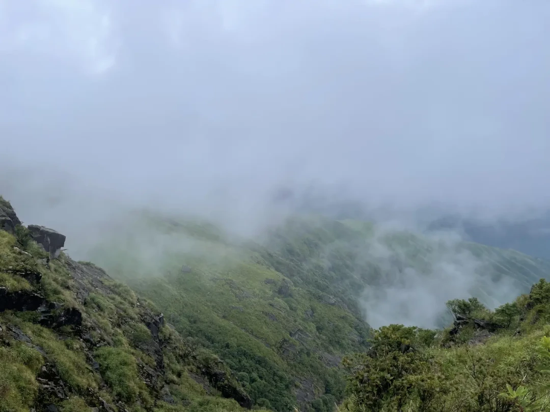 有人赌到云海,有人喊再也不来了:武功山8月的天气赌局,其实可以算