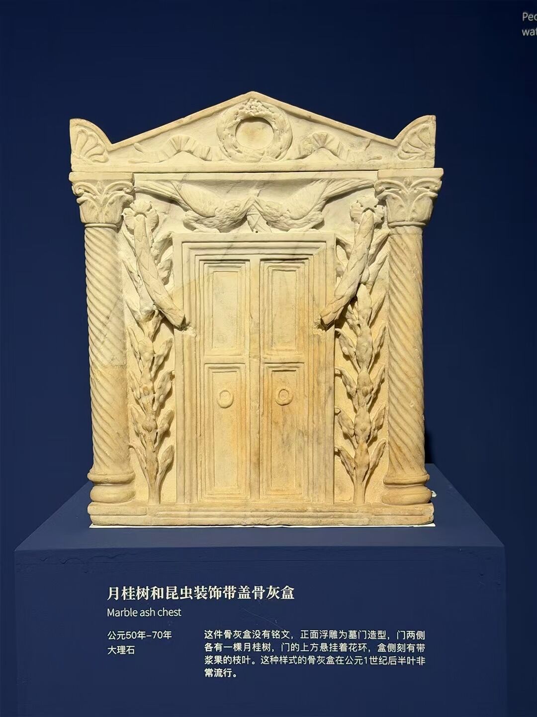 68元的「盛辉与尘光」,有人被劝退,有人拿它当中运博的暑期