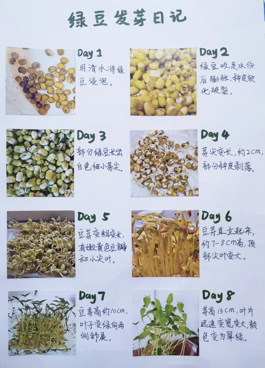 把《做中学指南》评估条款读完一遍：写的是家长最怕的反面，要不要重做整理成3问，失败记录单整理成5格