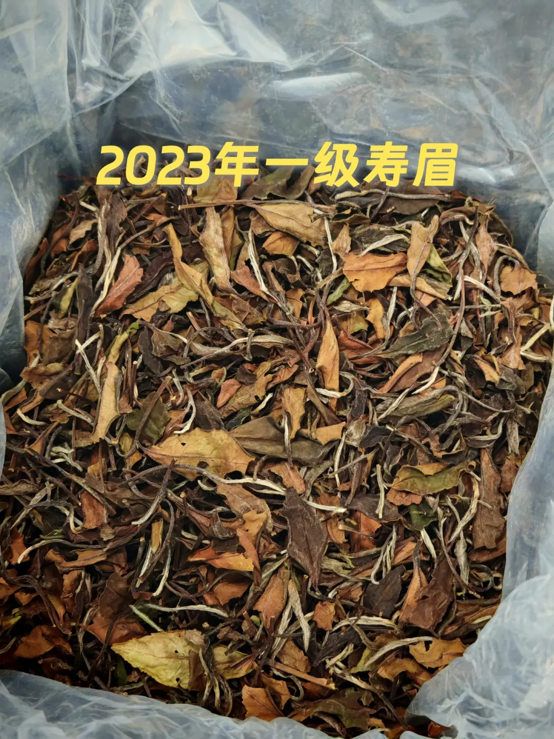 99元两饼的