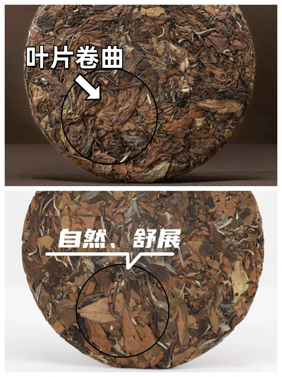 99元两饼的