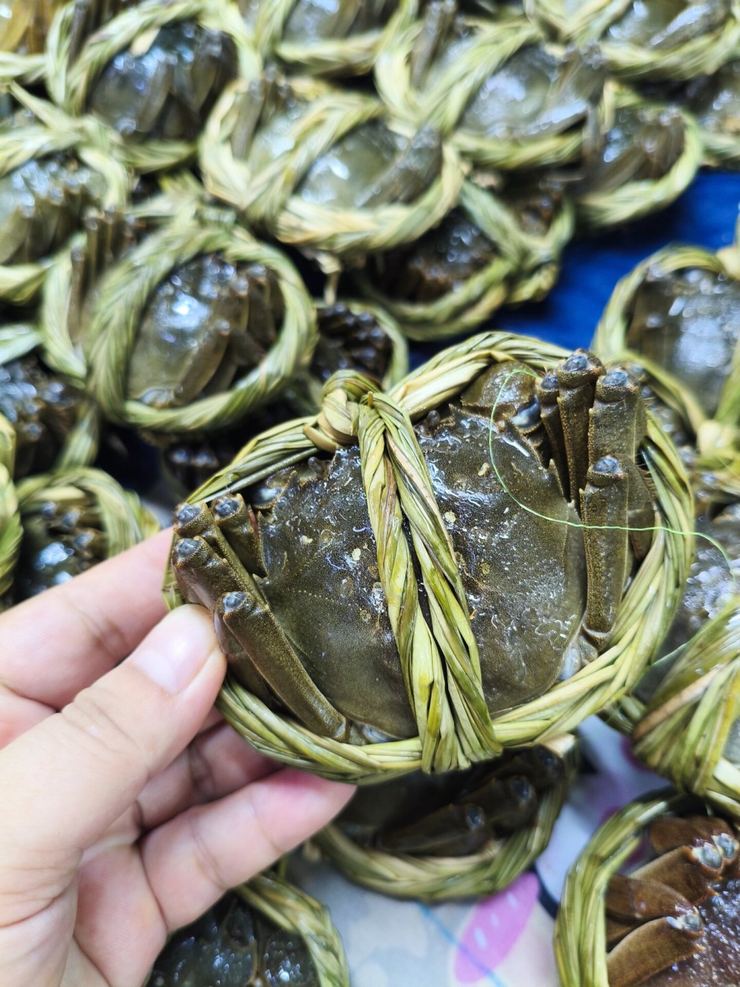 开海后海鲜价格大跳水,但摊上的“开渔第一鲜”不一定是第一网渔获:下单前先看这4点