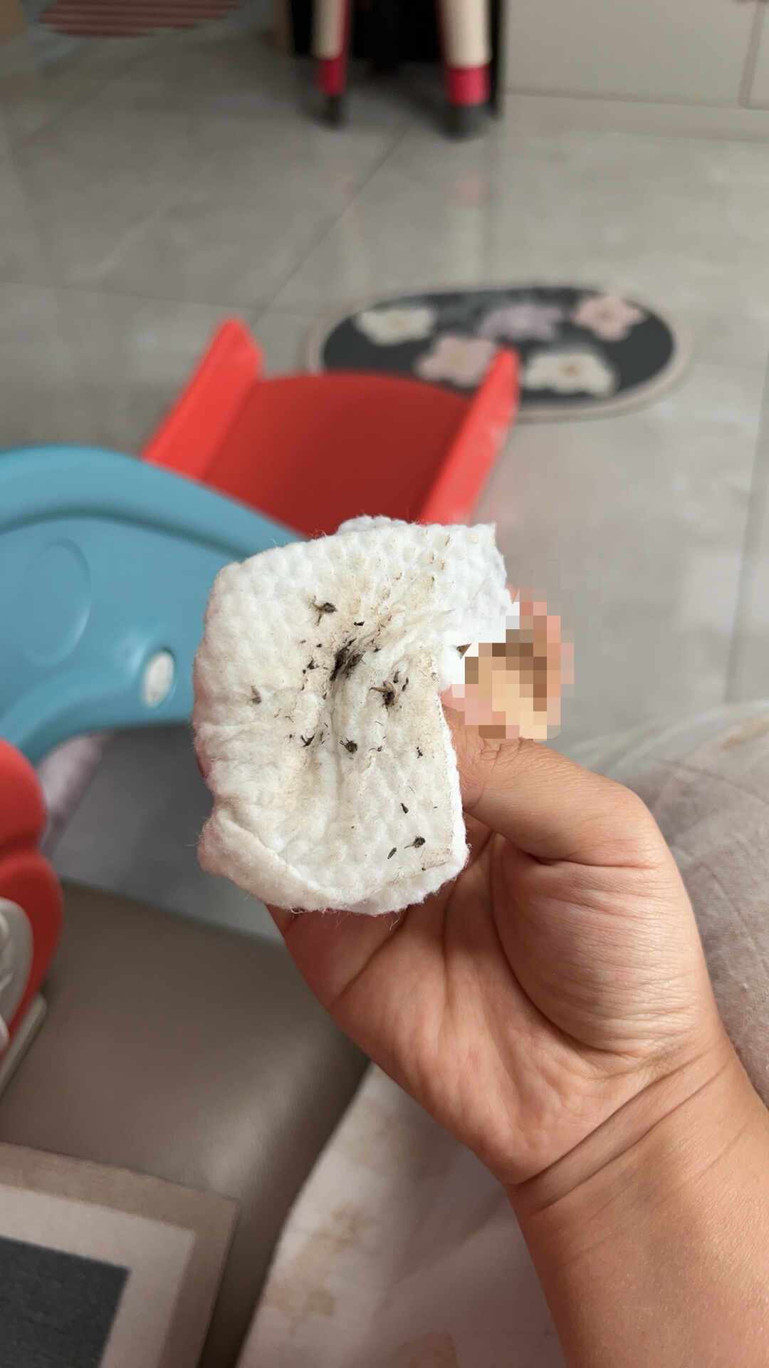 喷了一个月还喷不死,最后源头竟在吊顶里:蛾蚋进入年度高发期,先找老巢再谈用药