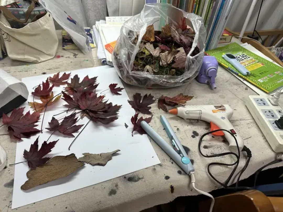 树叶贴画作业一夜就枯:看完664条评论,我把捡、压、封、买四条路捋出来了