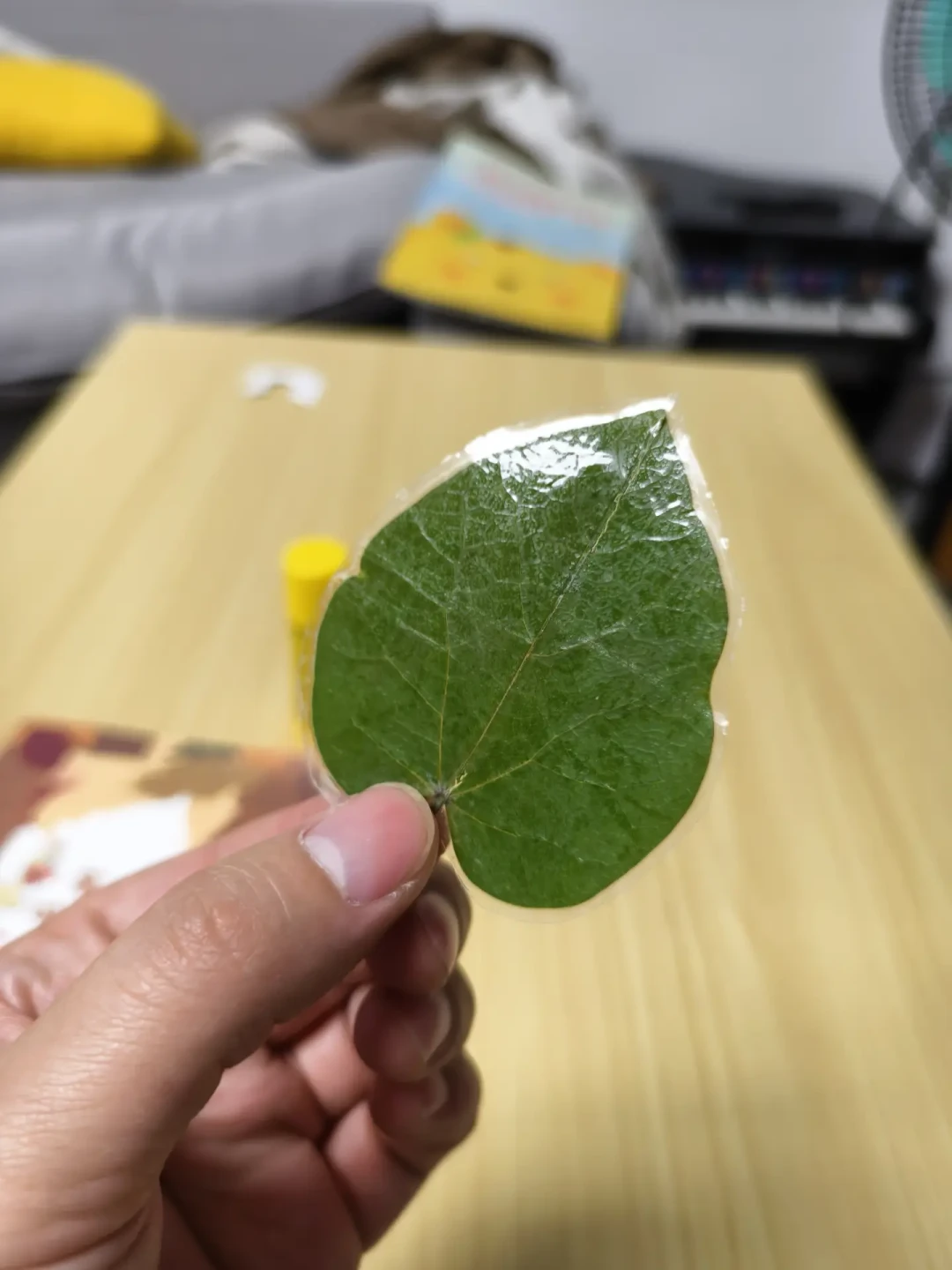 树叶贴画作业一夜就枯:看完664条评论,我把捡、压、封、买四条路捋出来了