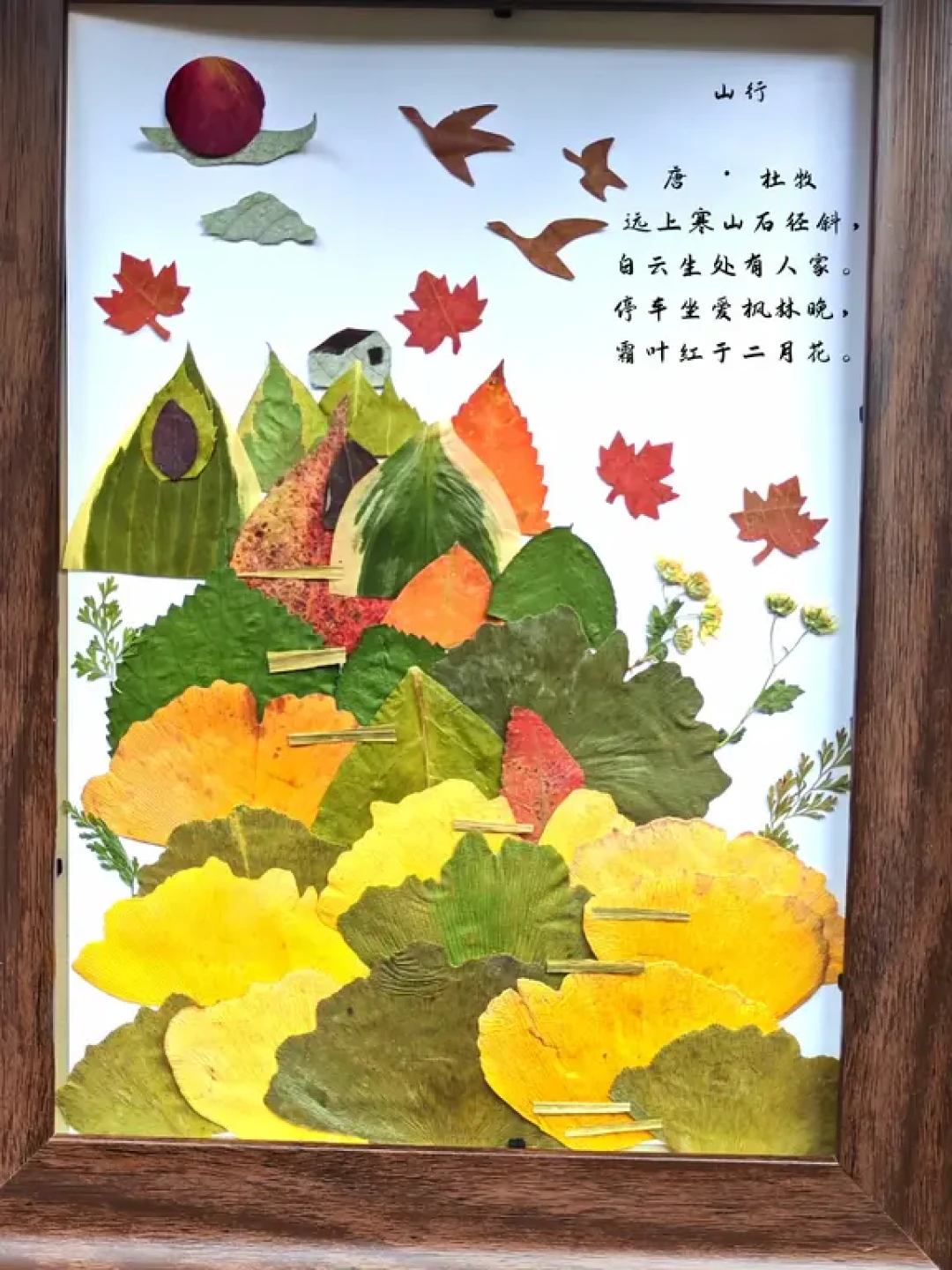 树叶贴画作业一夜就枯:看完664条评论,我把捡、压、封、买四条路捋出来了