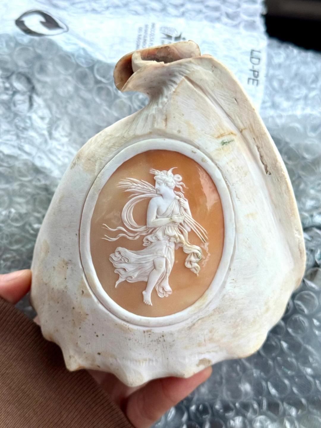 5美元能捡真贝雕,1万多也能买一堆假货:卡梅奥是西洋古董的第一道坎,先分清这三种东西