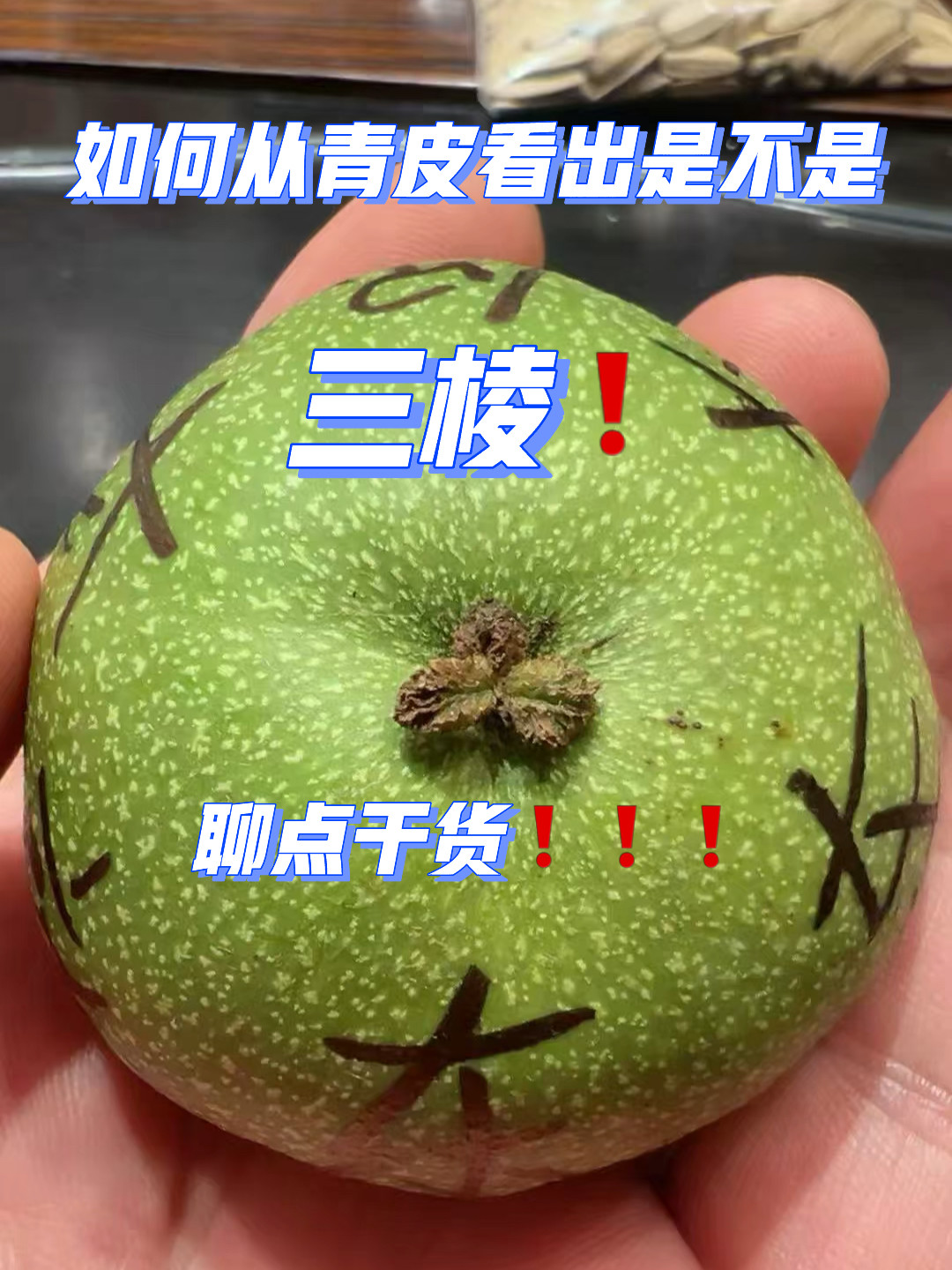 文玩核桃
