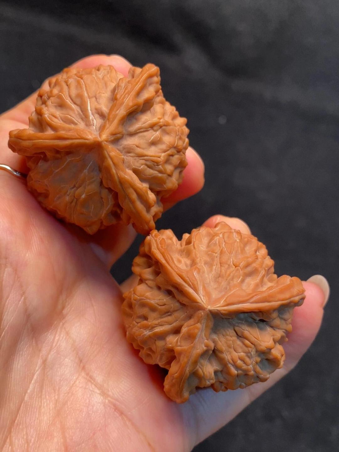 文玩核桃