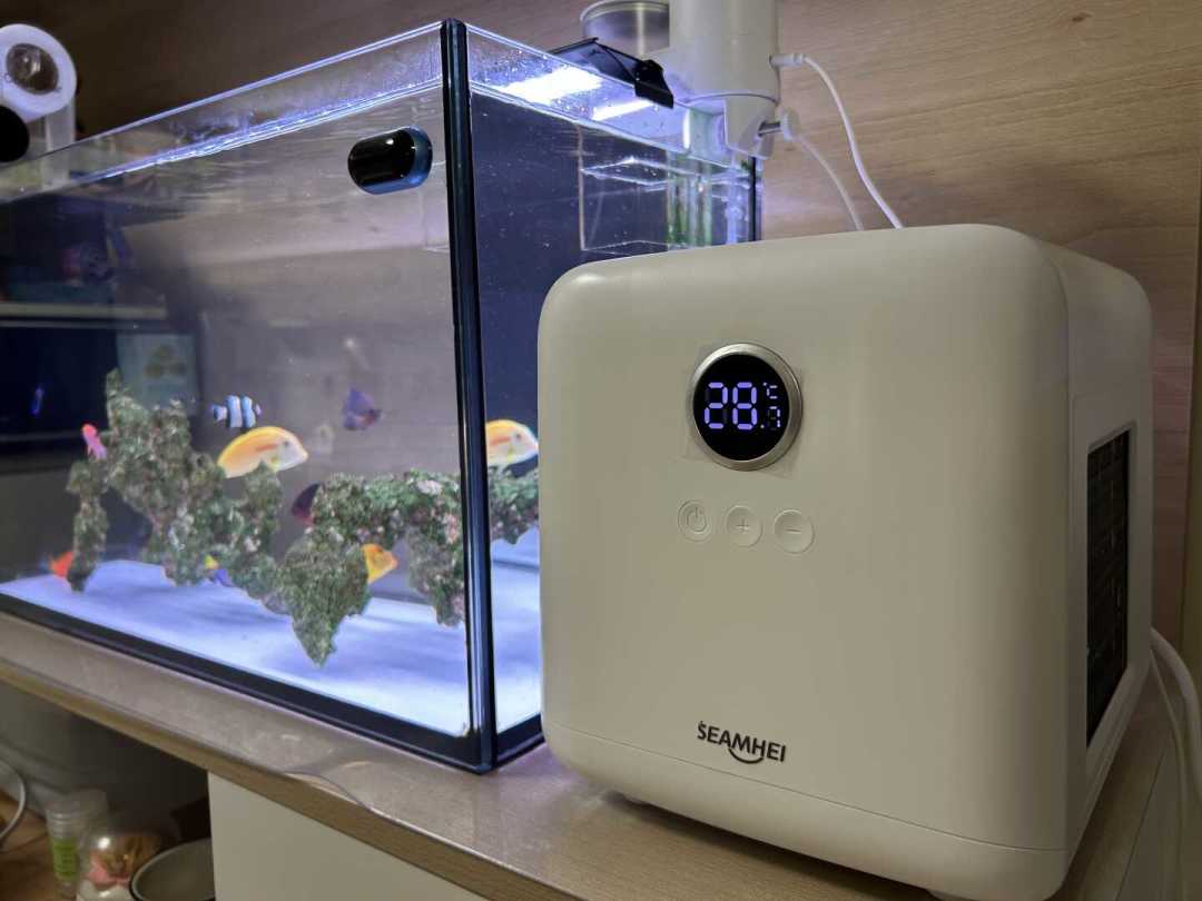 水温超过32℃，原生缸离团灭就不远了：超强厄尔尼诺年，风扇、冰袋还是冷水机？