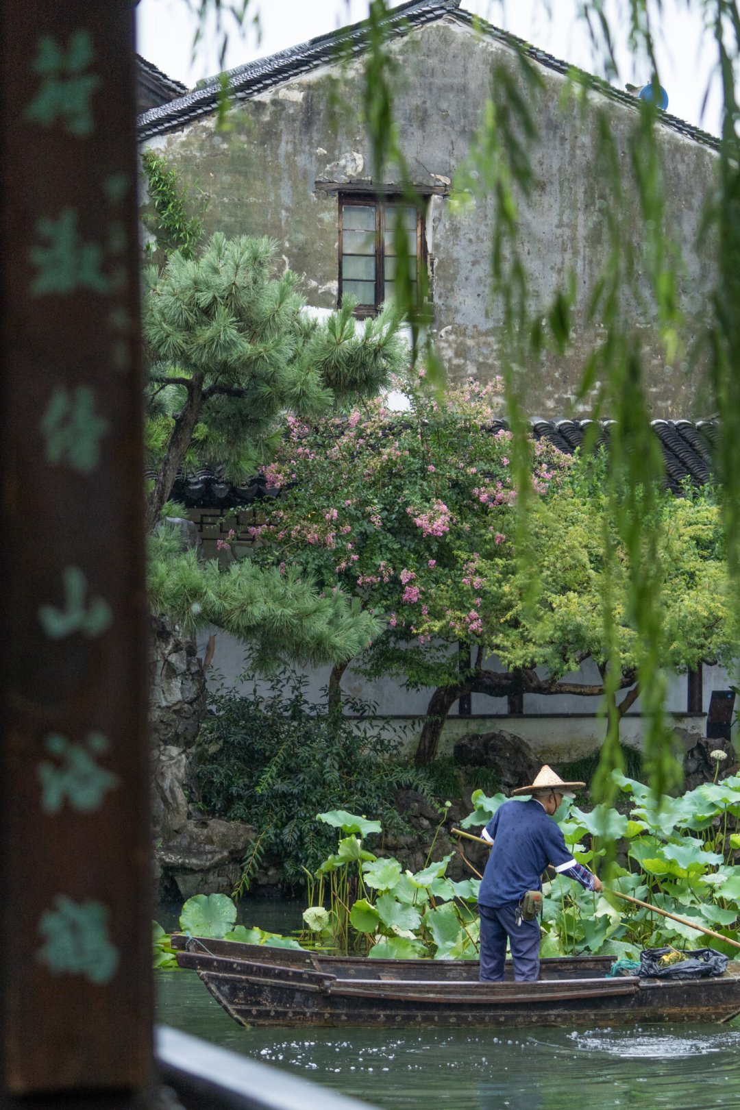 台风都没淹掉的苏州园林，“四水归堂”的水到底流去哪了
