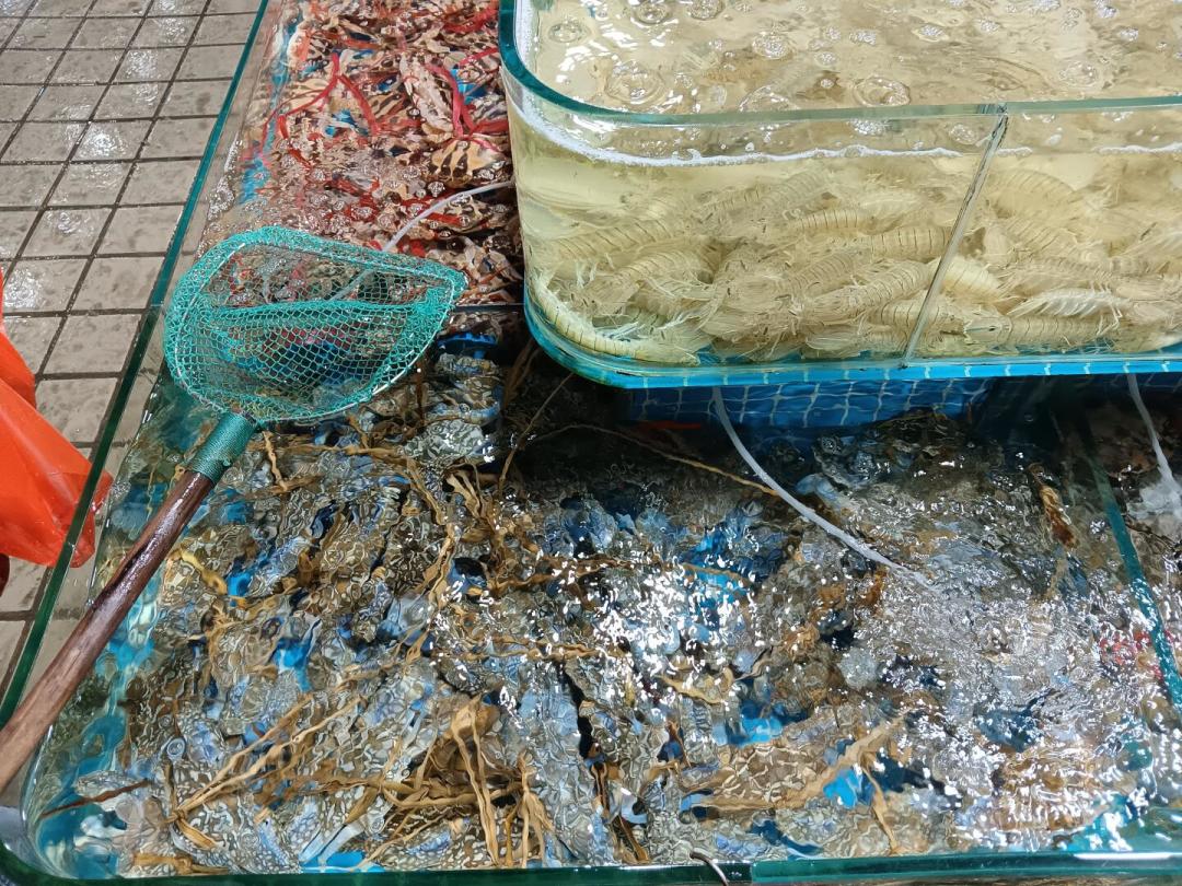 开海了,海鲜真的便宜三成吗?去疍家渔村敞开吃之前,先看这篇