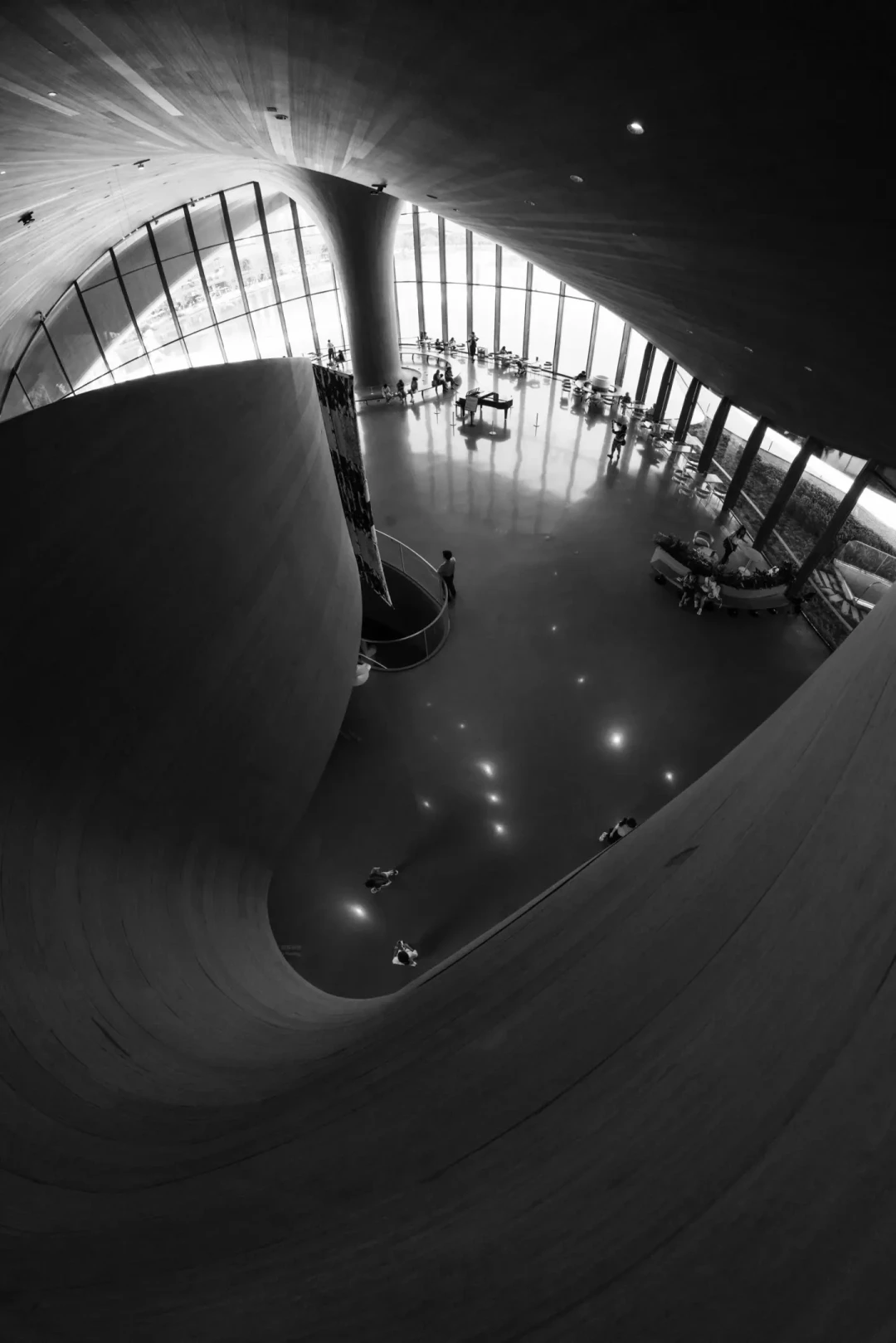 2390元的全画幅自动对焦鱼眼:七工匠10mm F2.5上市三周,谁该买谁别急着冲