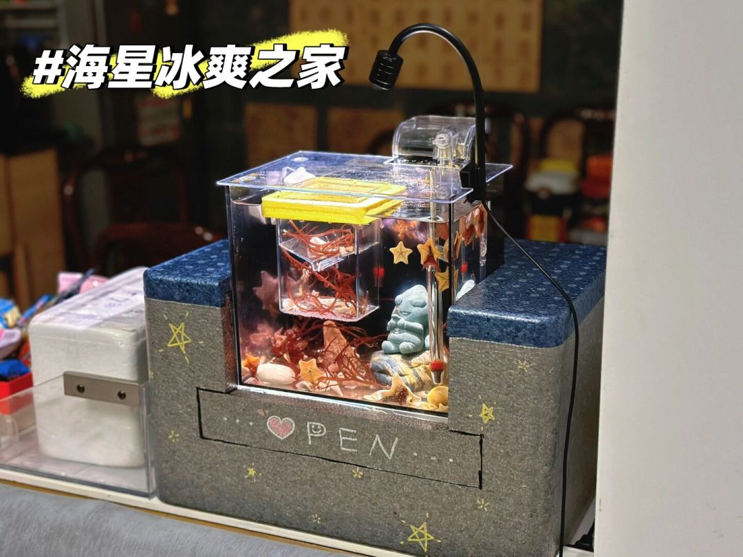 水温破30℃,珊瑚快化了:海缸降温5种方案,全网的优缺点和坑都帮你整理好了