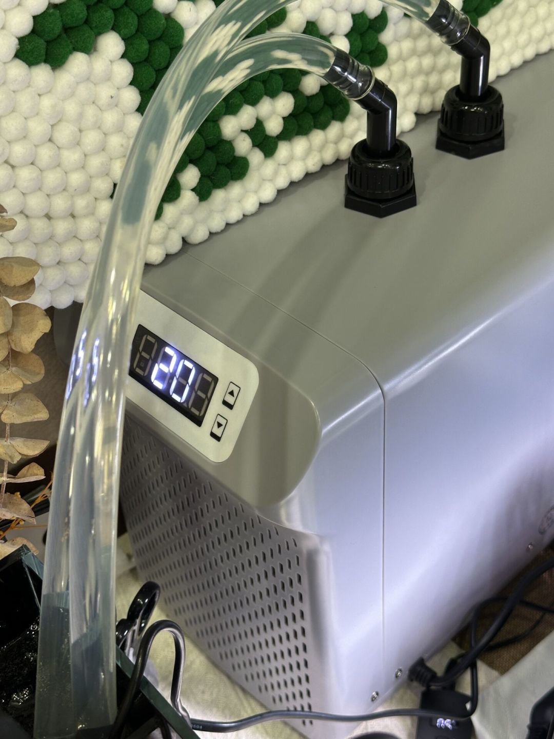 水温破30℃,珊瑚快化了:海缸降温5种方案,全网的优缺点和坑都帮你整理好了