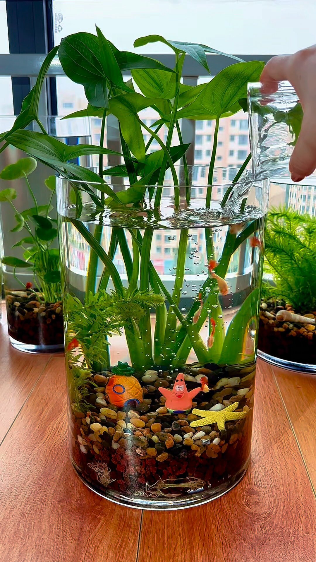 刷屏的