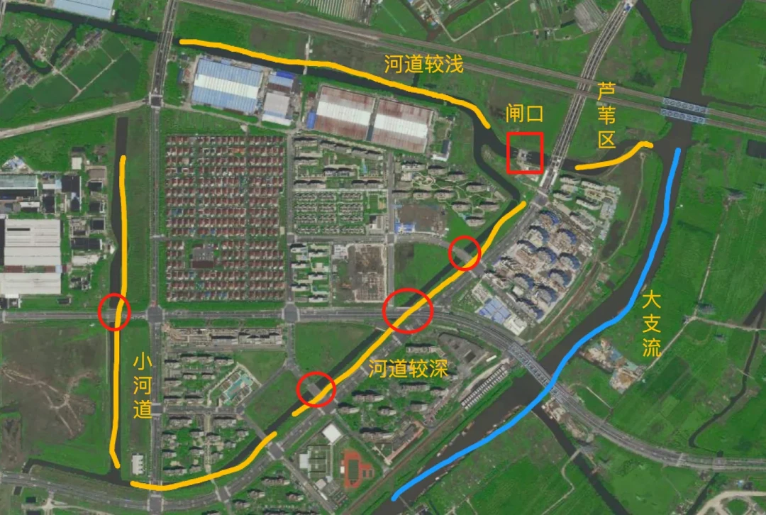教程全看了依旧空军?8月城市河道微物路亚破龟,先学会找鱼
