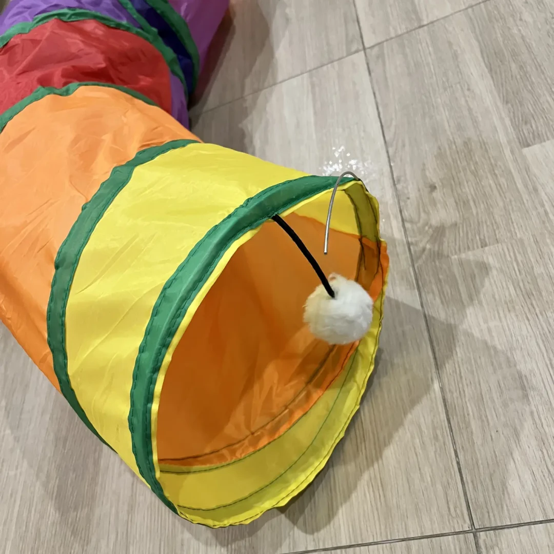 亚宠展开幕，32万㎡、上万款新品，宠物玩具到底哪些值得买？