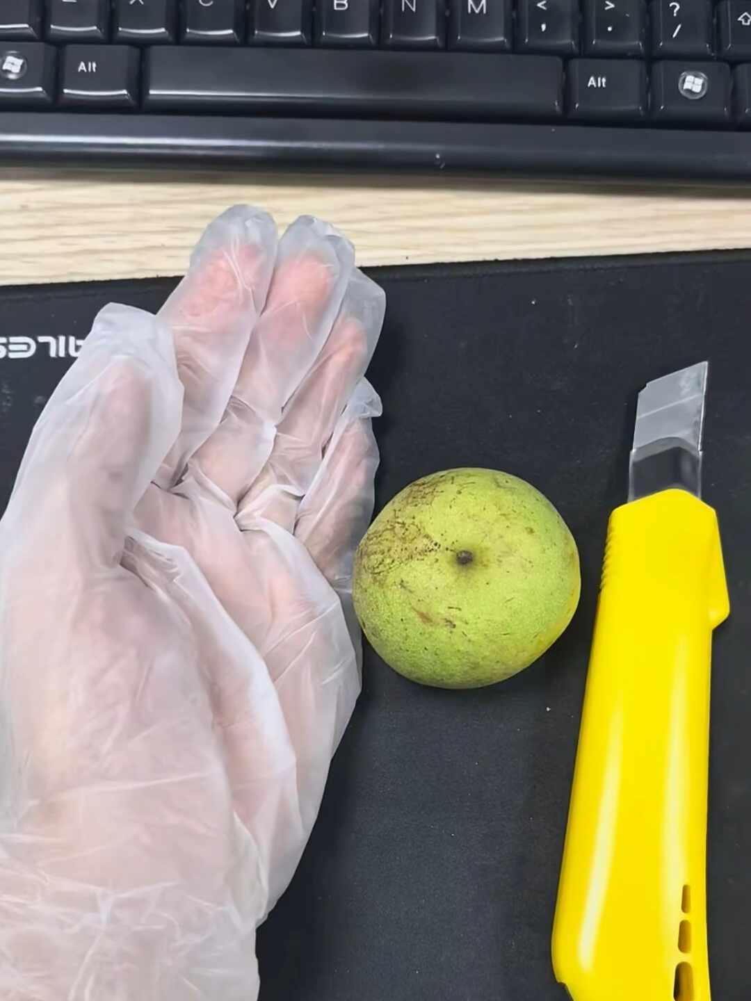 核桃下树季，两个故事满天飞：