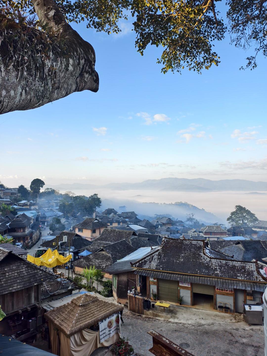 申遗三年,景迈山口碑两极分化:这份决策指南,我翻了全网20多篇真实实测帖