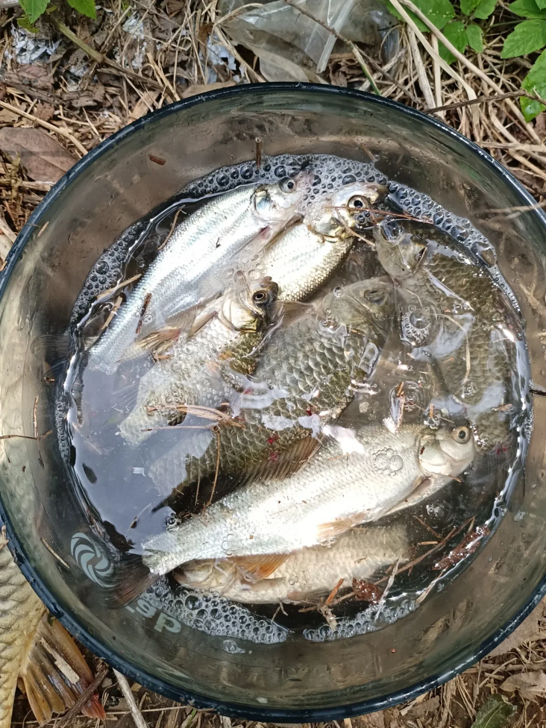 路亚和台钓哪个更烧钱?算完两笔明细账,发现两种烧钱方式完全不同