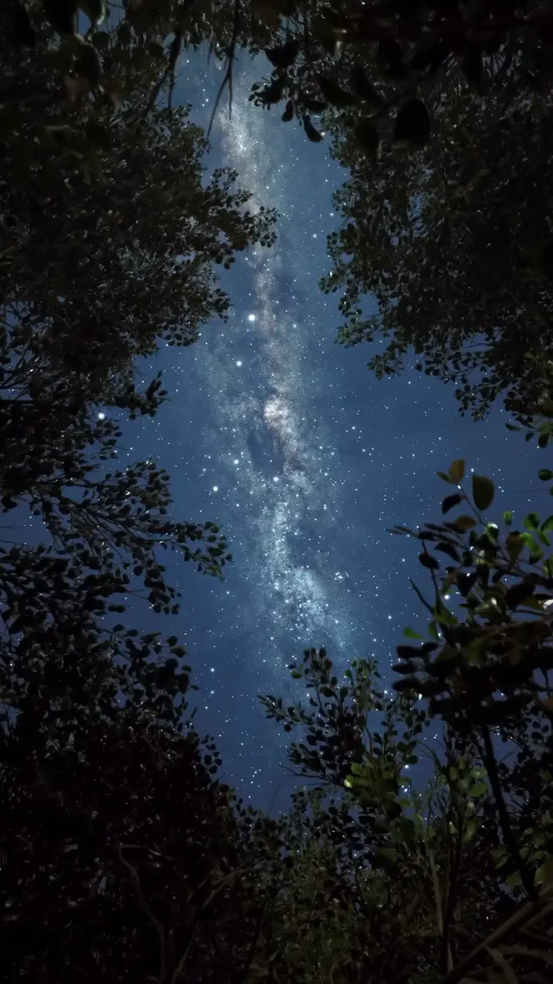 七夕辟谣:玉帝和王母不是两口子,牛郎织女的“反派”是明清才加戏加出来的
