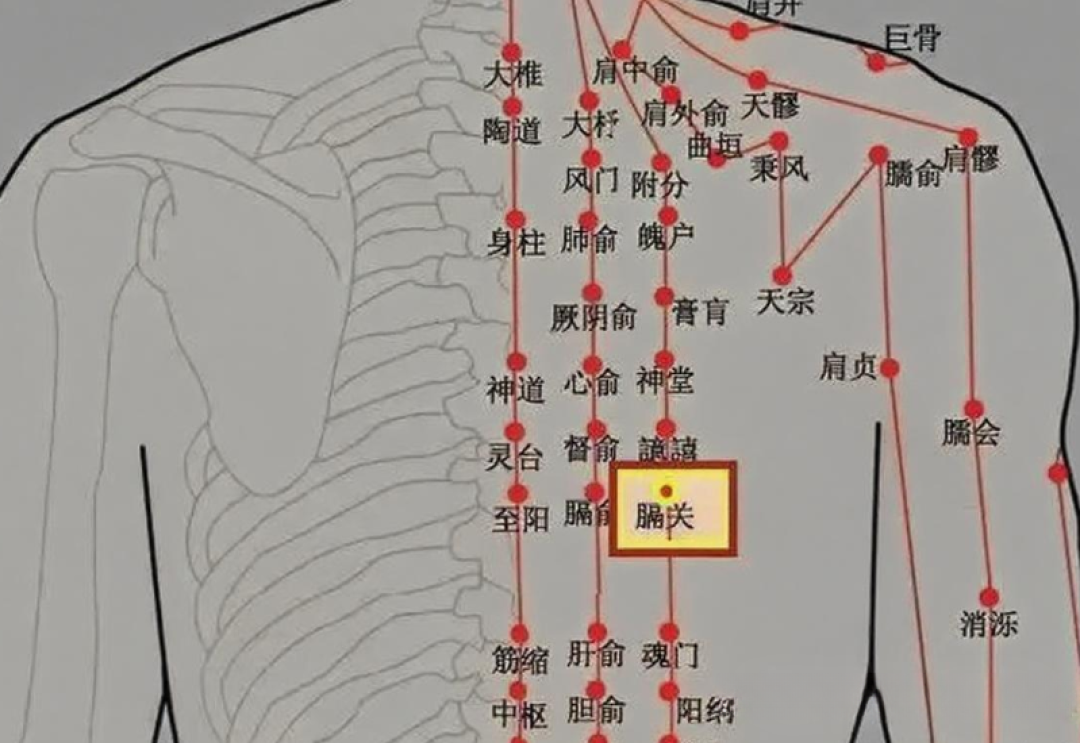 按穴位没用，是你没找准：5个日常穴位的“30秒找法”+3块碰不得的禁区