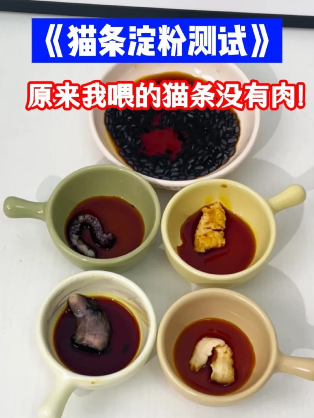 亚宠展今天开幕,三聚氰胺和碘伏测试风波之后,选猫条该用这5个判断