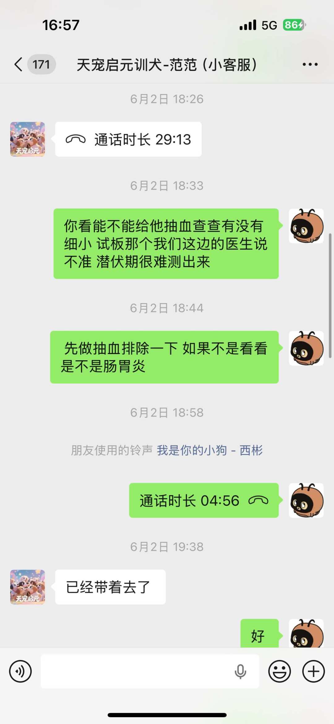 送狗去训犬学校,一只回家病了,另一只一周就反弹:这笔钱到底值不值