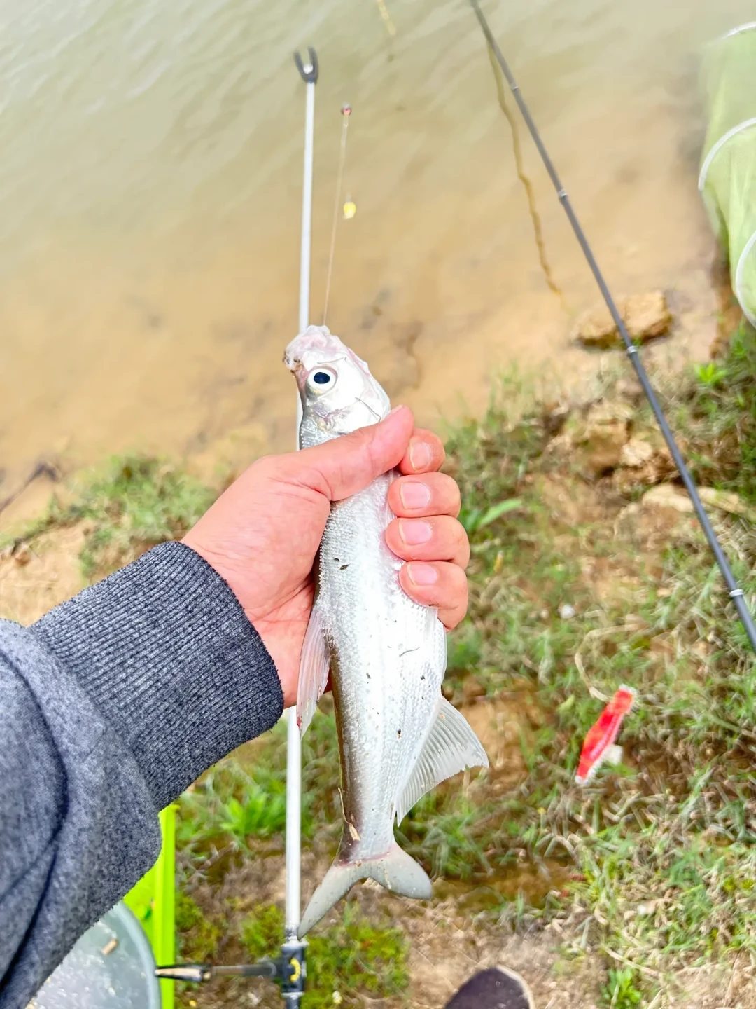 高温把鱼逼进深水,手竿够不着?矶竿滑漂入门,这份选购账本就够了