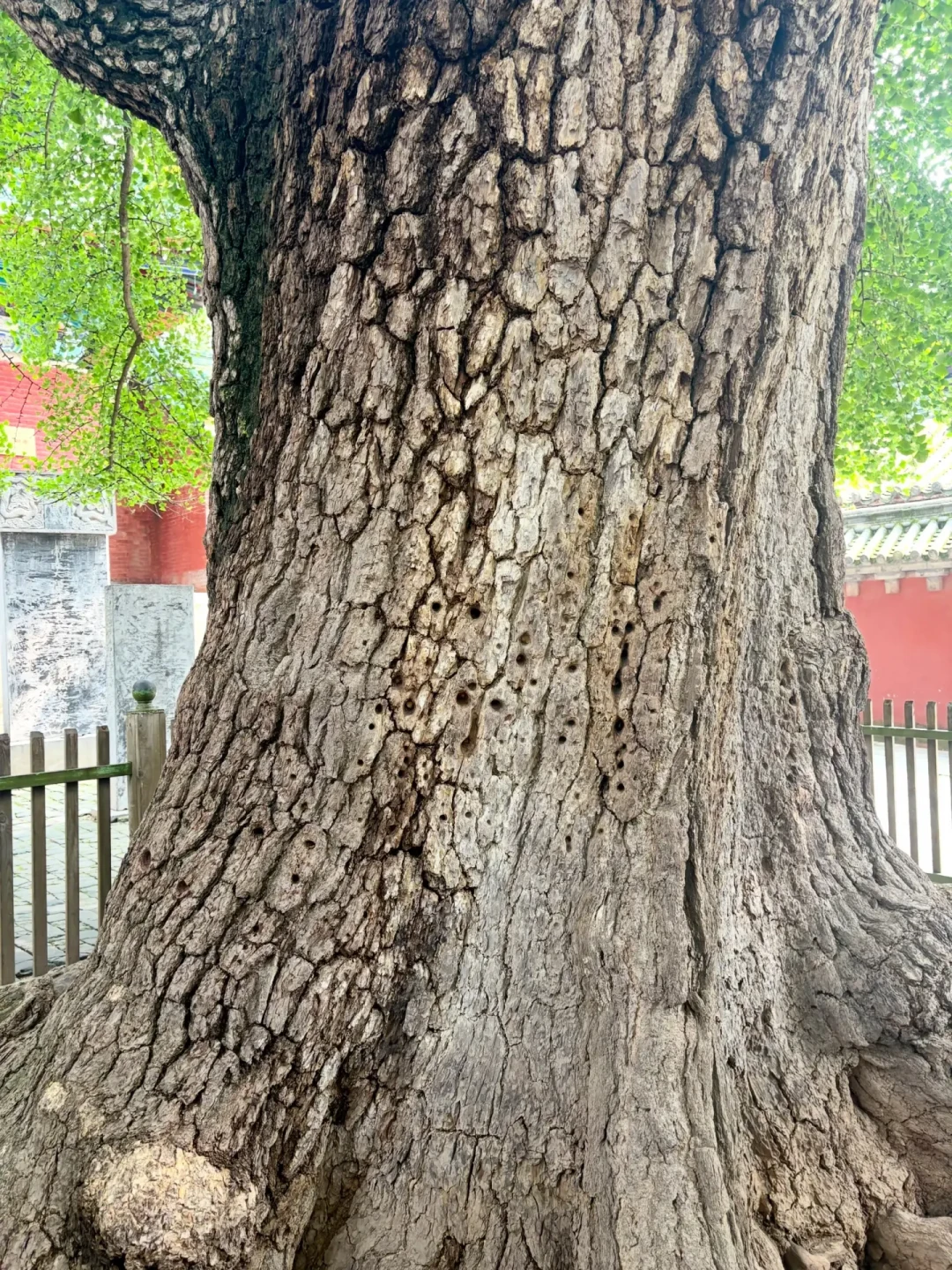 扫地僧和张三丰,半年里被问了4遍:我翻完18场论战,把能站住脚的论据都整理出来了