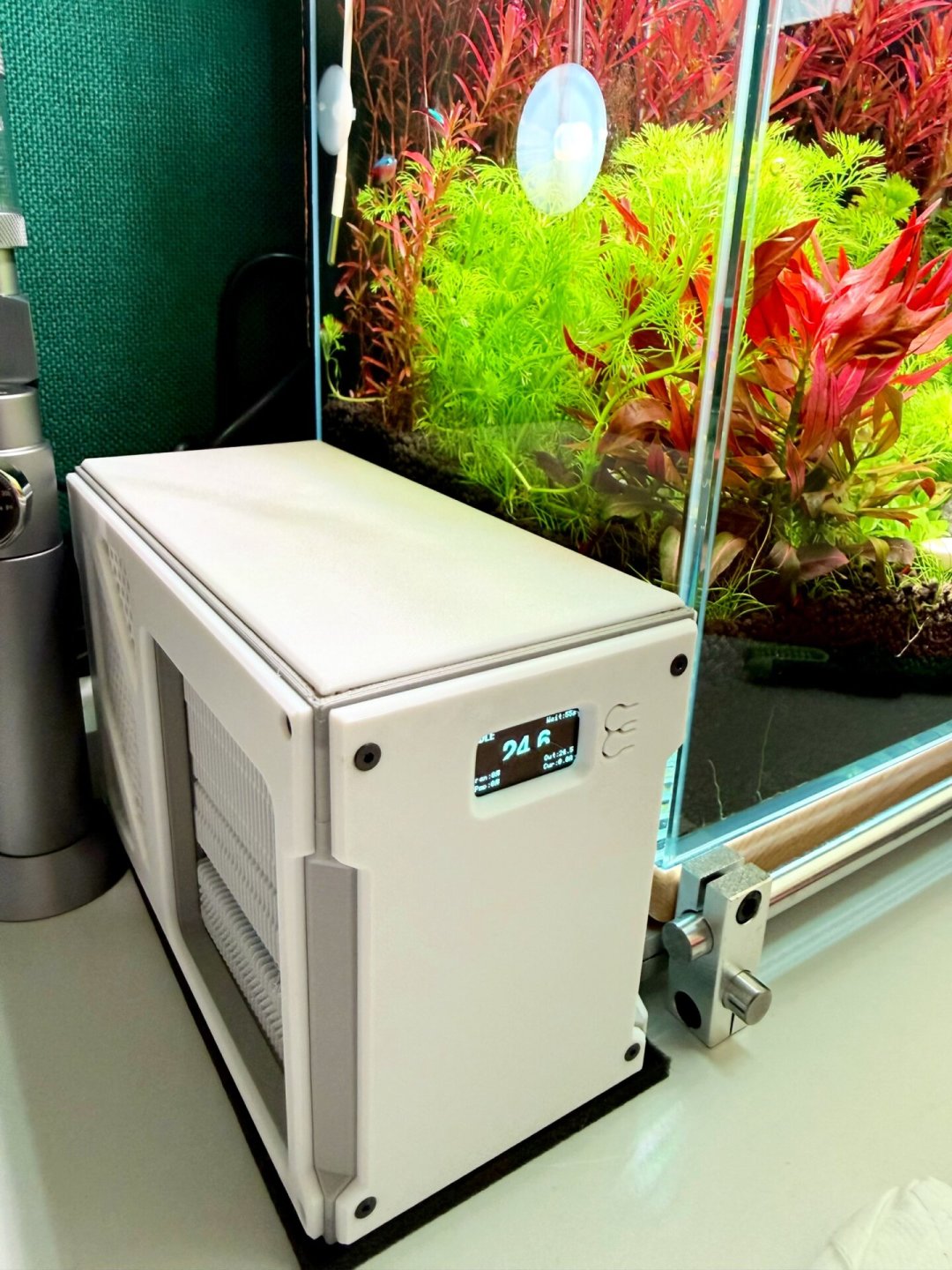 海缸度夏保命局:冷水机、风扇、DIY冰瓶,四种降温方案哪个值得花钱