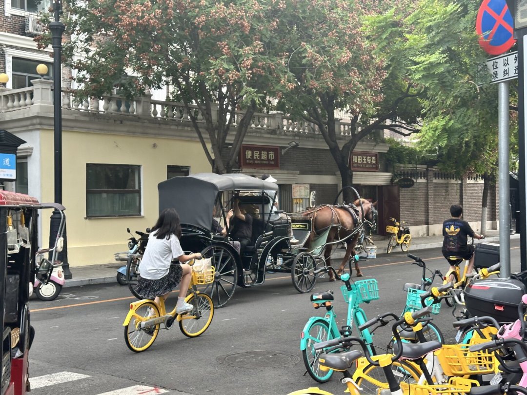五大道免费开放,为什么多数人还是把钱花错了:马车80、王府20,先看懂这份账单再逛