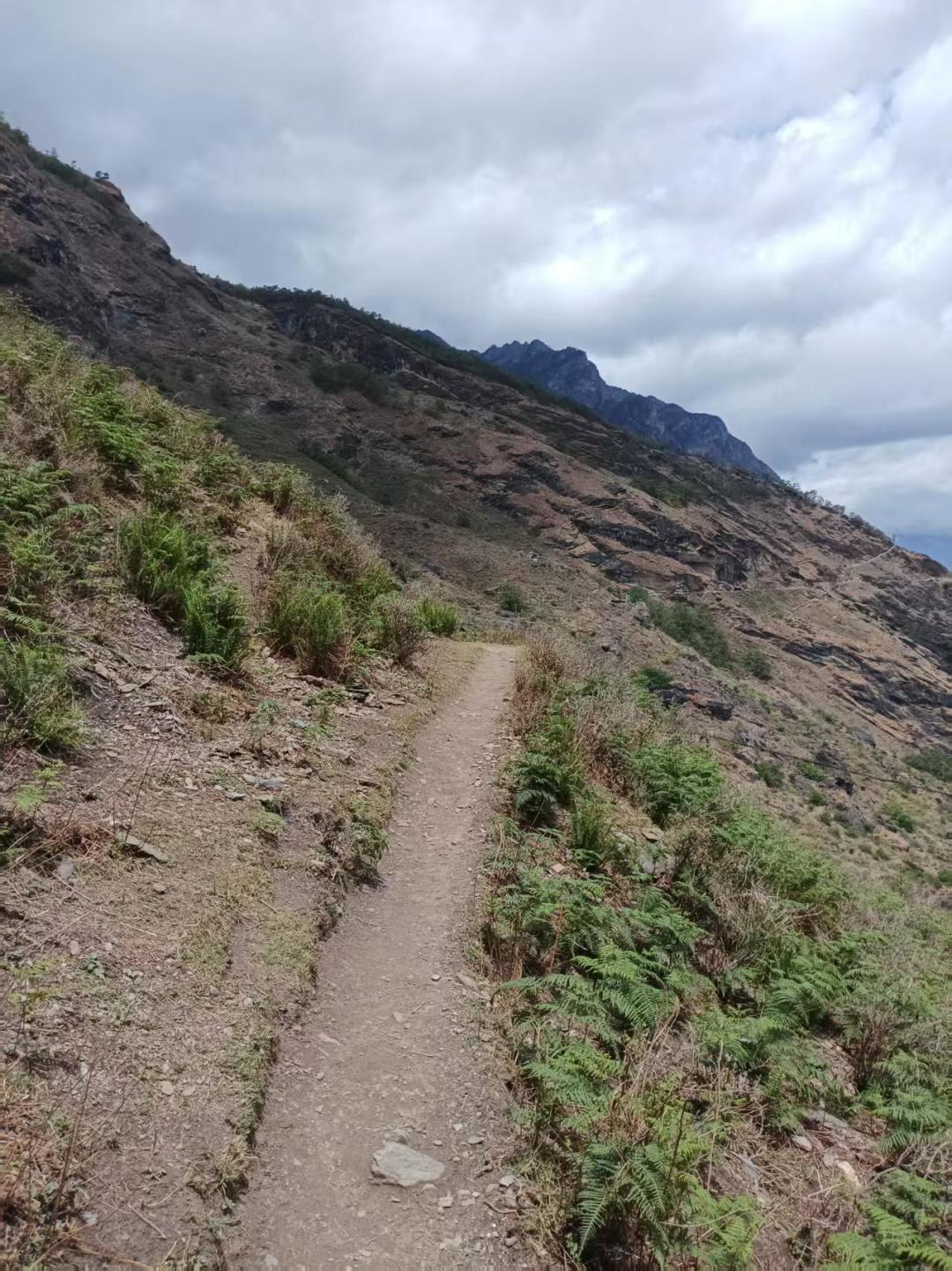 一个月两次落石，又赶上丰水期：8月下旬去虎跳峡，先把这本风险账算清楚