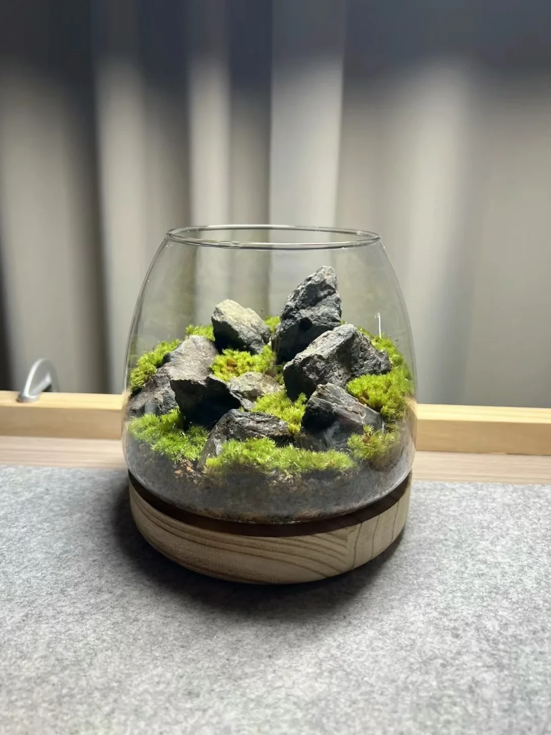 工位绿植总撑不过8月?翻完三个平台的黄叶求助帖,整理出这份避坑清单