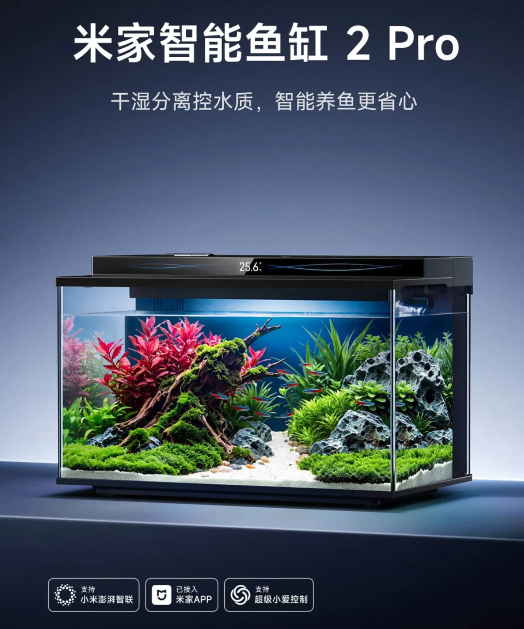 599元的米家鱼缸2 Pro 8月24日开众筹,交钱之前,先把这台缸背后的三笔账看清楚