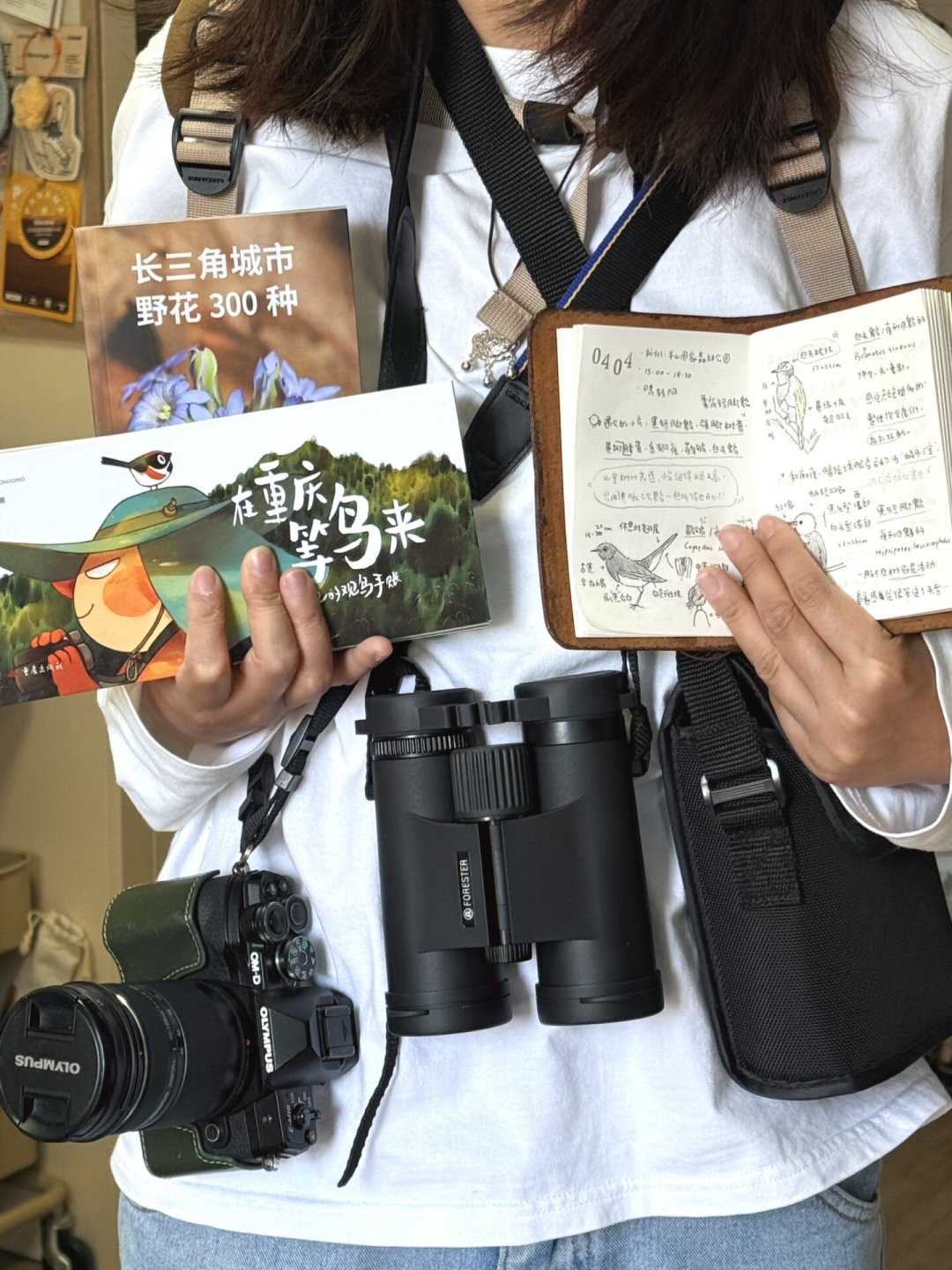 秋迁观鸟季开场：第一副望远镜，到底要花多少钱？
