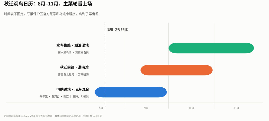 秋迁观鸟季开场：第一副望远镜，到底要花多少钱？