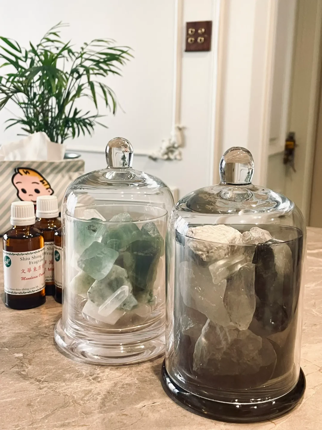 买香薰工具别只看脸:先搞懂扩香原理,再谈省钱和避坑,养宠家庭收好这份精油黑名单